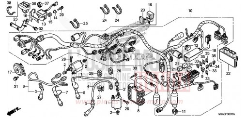WIRE HARNESS (VT750CS/C2S) VT750C2SD de 2013